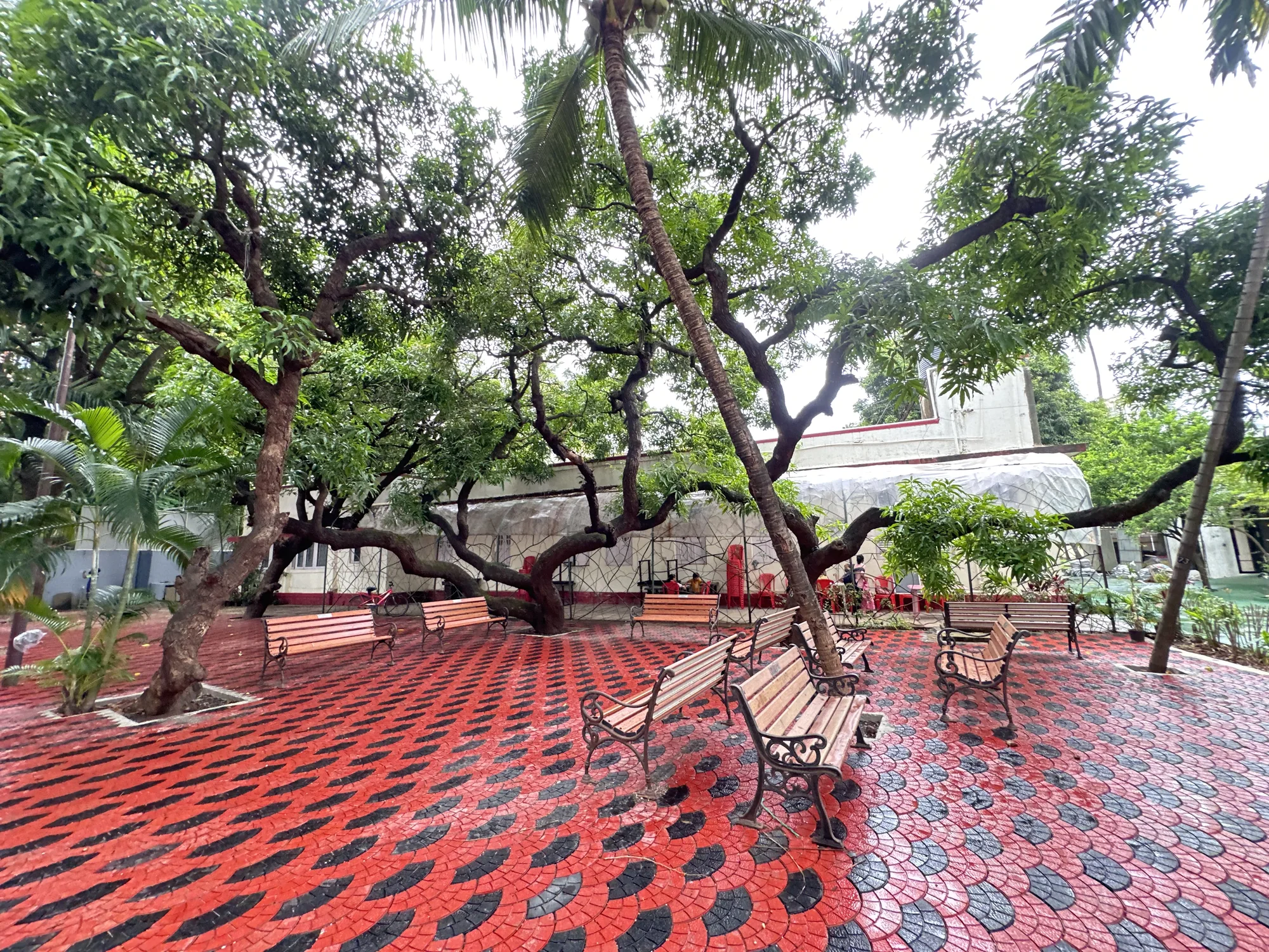 Green open space on the hostel campus
