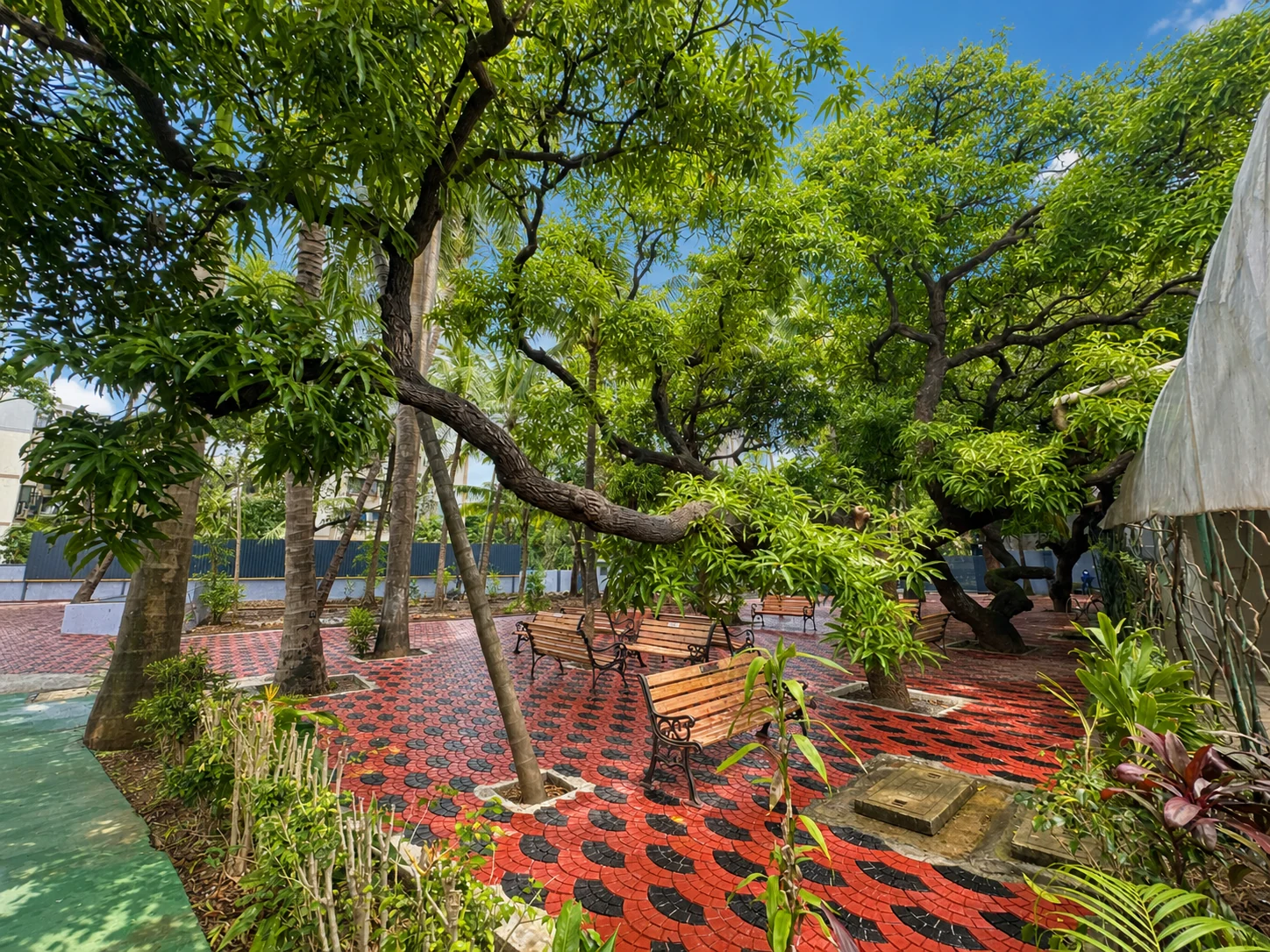 Lush shaded garden seating at Sarita