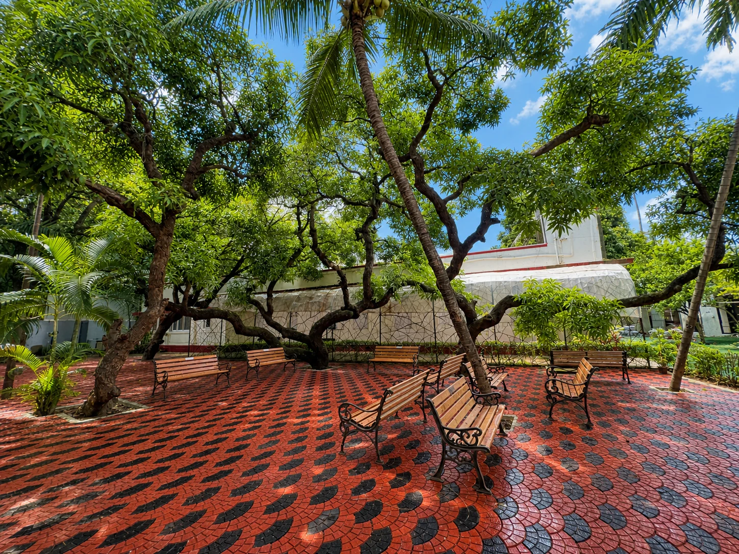 Sunny garden courtyard and benches at Sarita